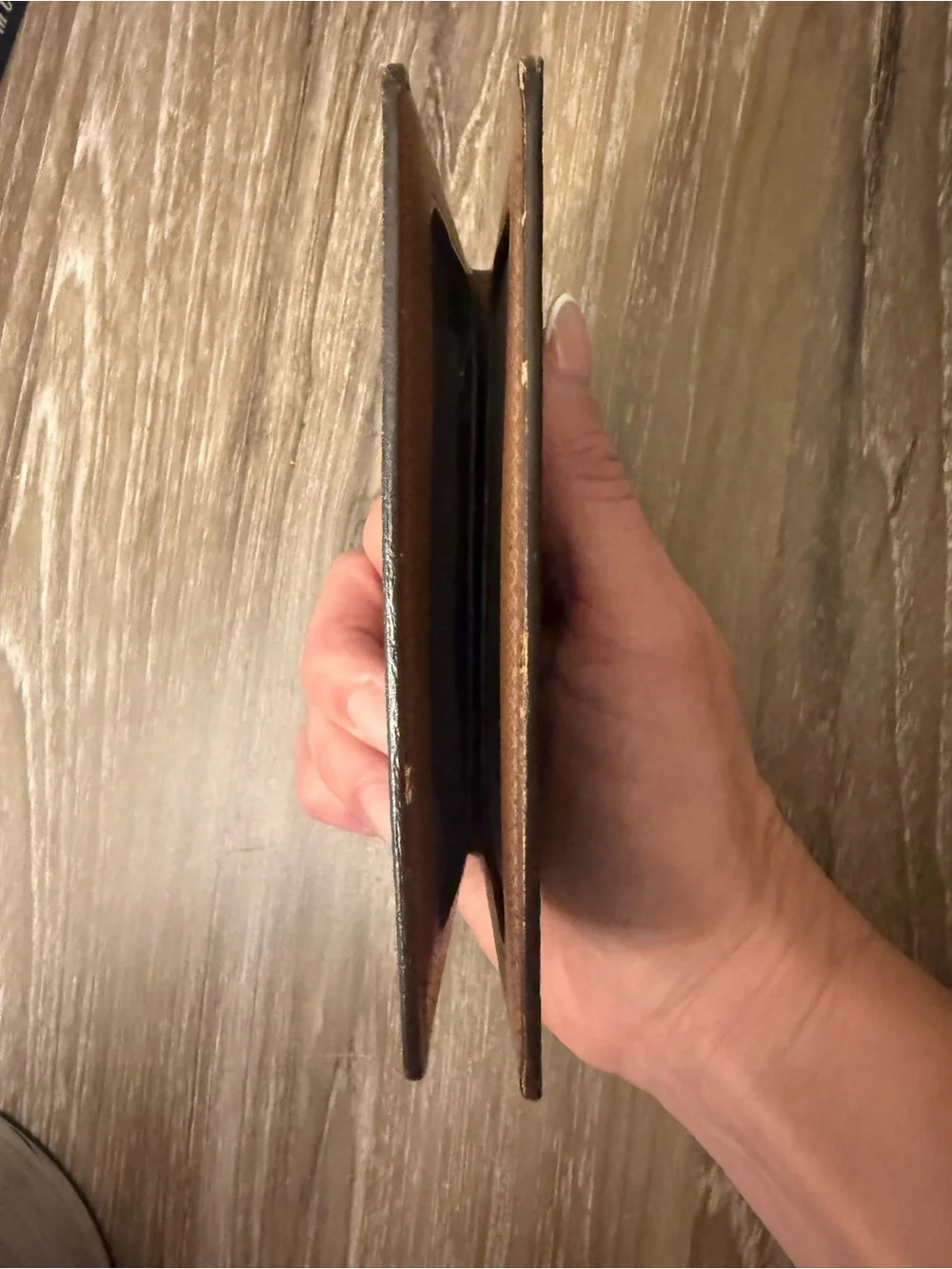 Louis Vuitton classic louis